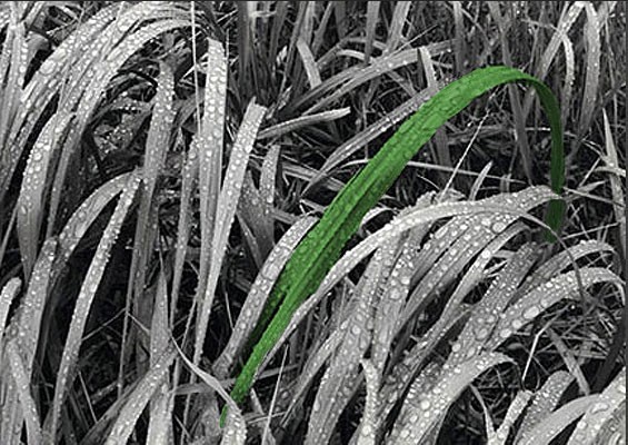 home-image-01