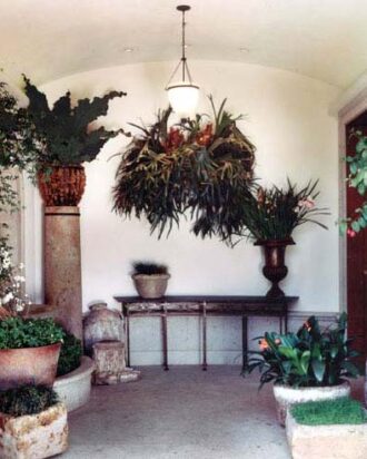 Entrance area of a property that is decorated with various plants