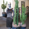 Potted cacti used as décor in a high-end fashion store