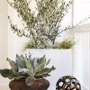 Potted plants and a unique circular decorative item