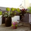 Outdoor lounge area decorated with different potted plants