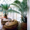 Beautiful lounging area that is decorated with large potted tropical plants