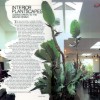 Article titled Interior Plantscapes