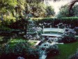 A breathtaking garden area with a bench surrounded by white flowers  