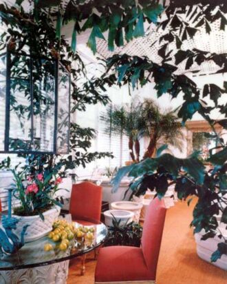 Interior area of a property decorated with various plants
