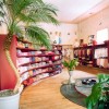 A large potted tropical plant used as décor inside a pink boutique