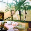 Tropical plants adorning a showroom for furniture