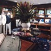A large potted plant used as a centerpiece inside a luxury boutique