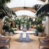 A large and remarkable potted plant used as a centerpiece on a beautiful table surrounded by other large tropical potted plants
