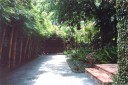 A walkway with lush greeneries