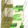 A landscaping plan