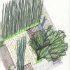 A detailed and colorful landscaping plan for a garden