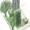 A landscaping plan for a garden