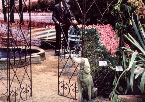 Statue of a man, a little boy, and a dog in a garden lined with pink flowers